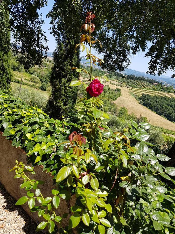 Il Leccio - Casa Toscana San Gimignano Гамбаси Терме Екстериор снимка