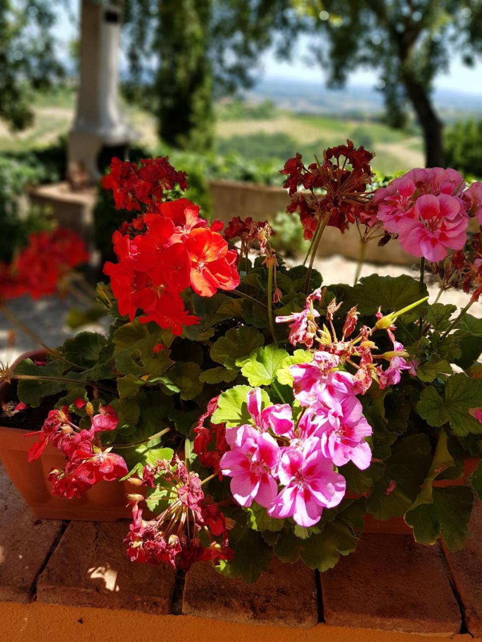 Il Leccio - Casa Toscana San Gimignano Гамбаси Терме Екстериор снимка